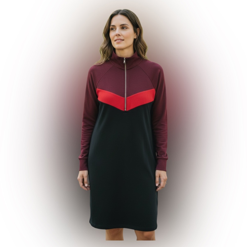 Express Burgundy and Black Long Sleeve Dress